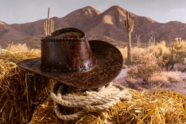 Curiosidades sobre o Texas